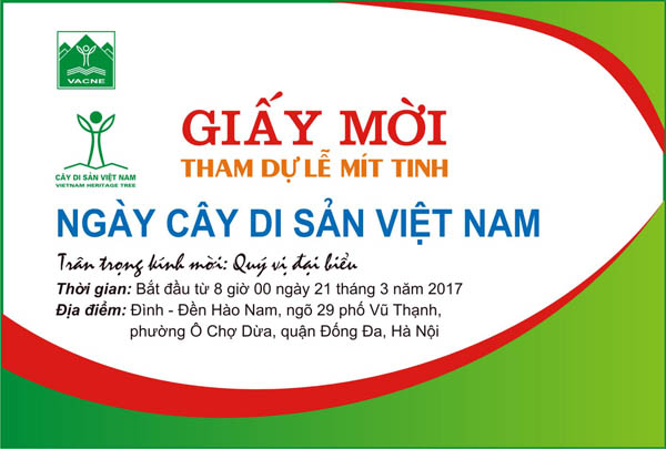 Giay moi Ngay CDS 2 w.jpg