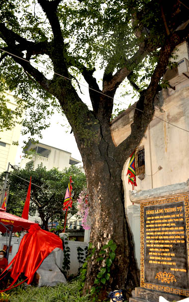 A tree with flags from itDescription automatically generated with low confidence