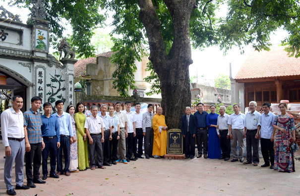 A group of people standing in front of a treeDescription automatically generated