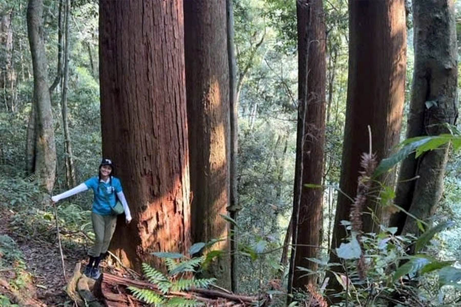 A person standing next to a treeDescription automatically generated