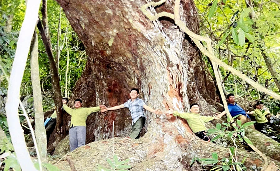 A group of people holding hands in a treeDescription automatically generated