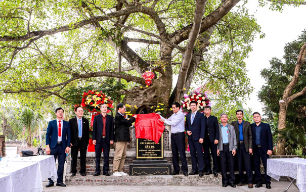 A group of people standing under a treeDescription automatically generated