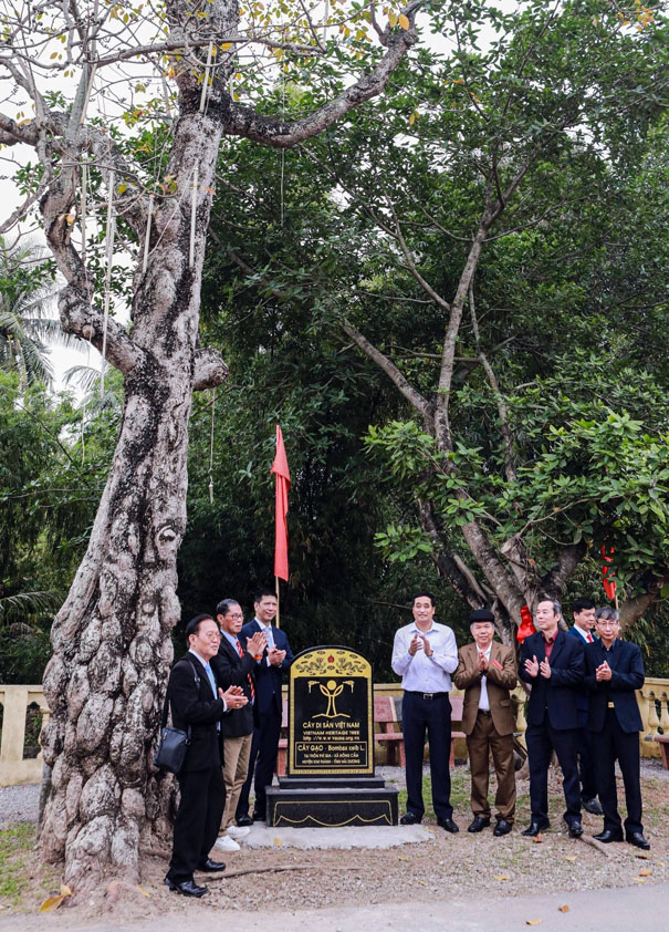 A group of people standing under a treeDescription automatically generated