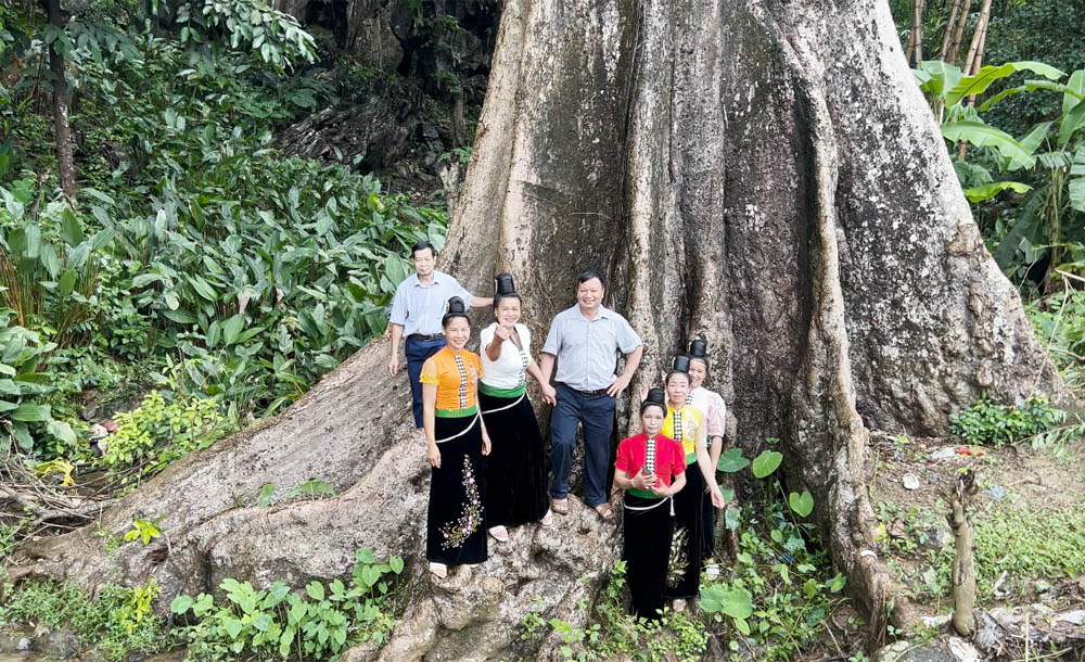 A group of people standing in front of a large treeDescription automatically generated