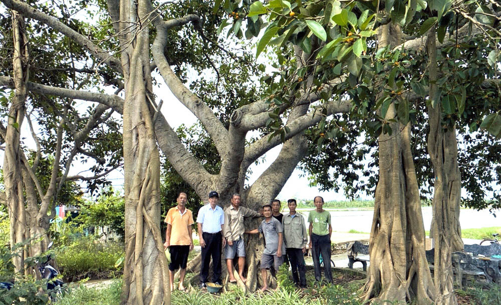 A group of people standing under a treeDescription automatically generated