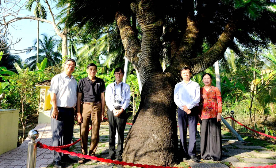 A group of people standing in front of a treeDescription automatically generated