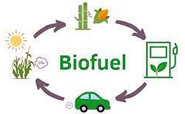 A diagram of a biofuelAI-generated content may be incorrect.