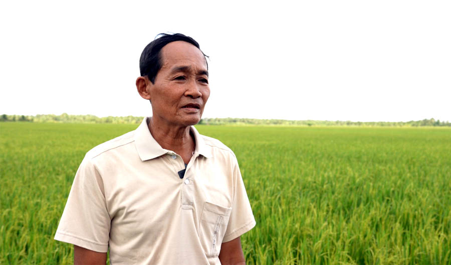 A person standing in a fieldAI-generated content may be incorrect.