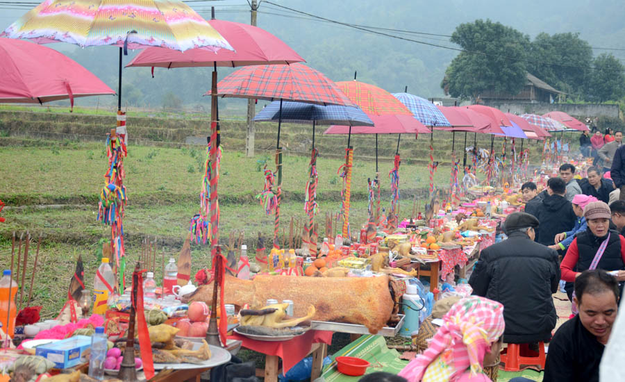 A long line of food and umbrellasDescription automatically generated