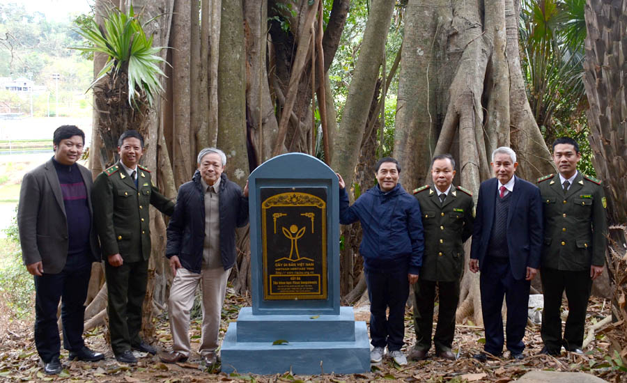 A group of men standing next to a graveAI-generated content may be incorrect.