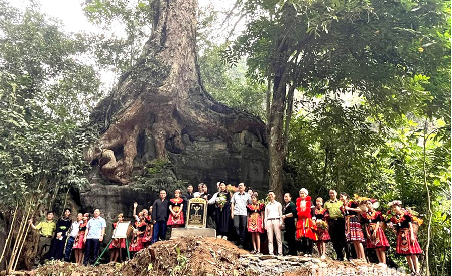 A group of people standing in front of a large treeAI-generated content may be incorrect.