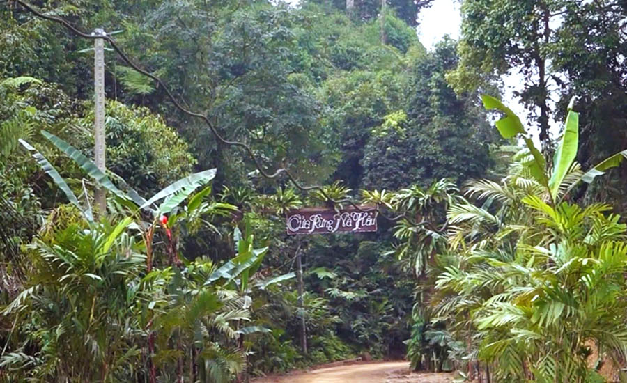 Lễ hội Tết rừng của đồng b&agrave;o M&ocirc;ng N&agrave; Hẩu