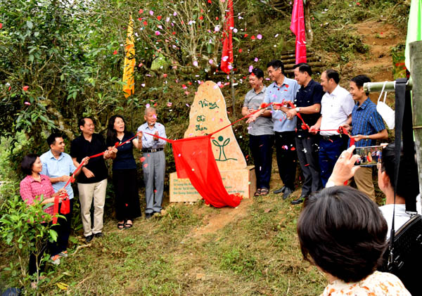 Hình ảnh (1) Lễ đón bằng công nhân Cây Di sản Việt Nam quần thể 1.324 cây chè Shan Tuyết ở  Hà Giang