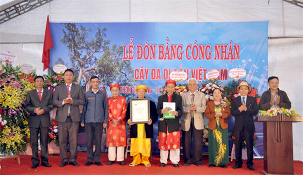 Làng nghề ven đô Hà Nội tưng bừng tổ chức Lễ vinh danh Cây Di sản Việt Nam