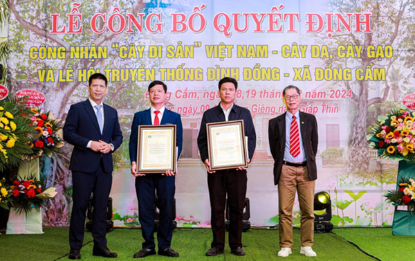 Lễ Công nhận “Cây di sản” Việt Nam tại xã Đồng Cẩm, huyện Kim Thành, tỉnh Hải Dương