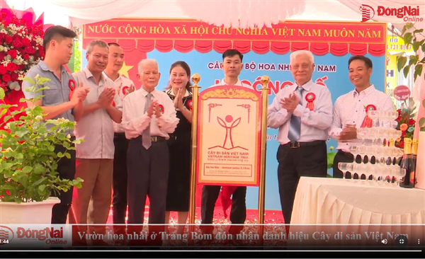 (Video) Vườn hoa nhài ở Trảng Bom đón nhận danh hiệu Cây di sản Việt Nam
