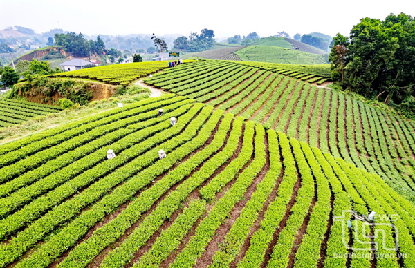 Thái Nguyên: Đại Từ phát triển du lịch xanh