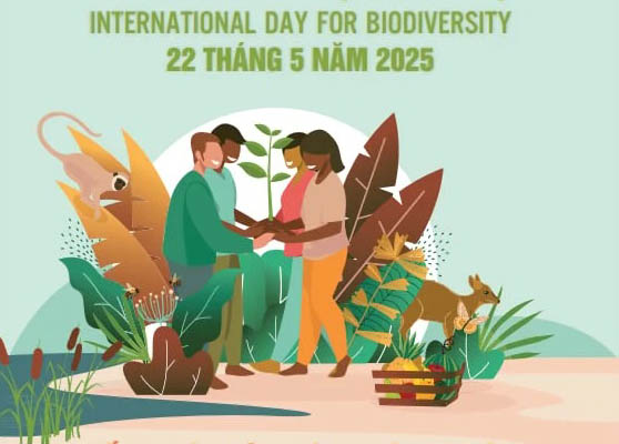 Ngày Quốc tế Đa dạng sinh học năm 2025: Sống hài hòa với thiên nhiên và phát triển bền vững