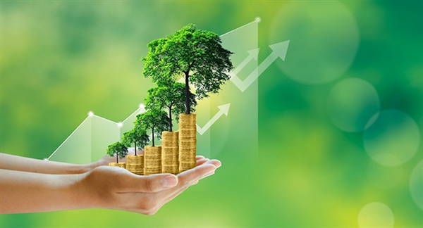 Thị trường carbon nội địa: Động lực mới cho tăng trưởng xanh