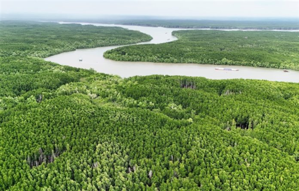 Bài 1 – Nỗi đau “rừng vàng, biển bạc”: Hệ sinh thái suy giảm, “báu vật toàn cầu” bị đe dọa