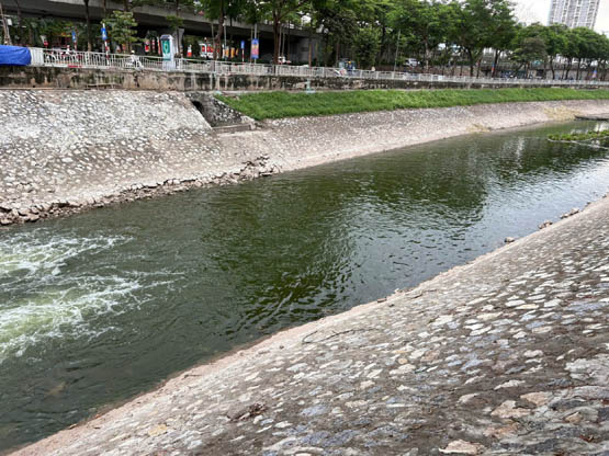 Bắt đầu dẫn nước từ hồ Tây, cá bơi tung tăng trên sông Tô Lịch