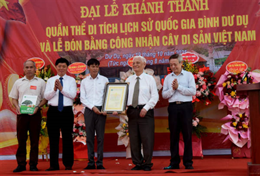 Hình ảnh Lễ đón Bằng Công nhận Cây Di sản Việt Nam tại xã Tam Hưng, TP. Hà Nội