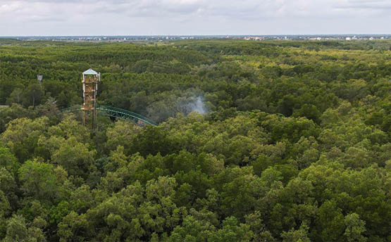 COP30: Việt Nam đề xuất 4 điểm chính về biến đổi khí hậu