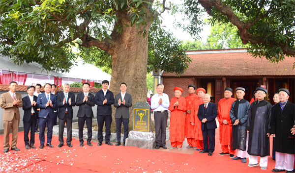 Cây Đại thụ bên ngôi Miếu cổ ở vùng Kinh Bắc được vinh danh Cây Di sản Việt Nam