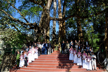 Hình ảnh Lễ đón Bằng Công nhận Cây Di sản Việt Nam tại xã Than Uyên, tỉnh Lai Châu