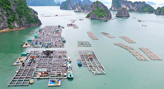 Chính sách về bảo vệ môi trường trong phát triển bền vững kinh tế biển, kinh tế tuần hoàn