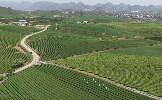 Ngành nghề phục vụ mục tiêu bảo vệ môi trường, tài nguyên thiên nhiên được ưu tiên thu hút đầu tư