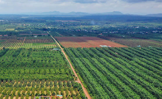 Không đánh đổi môi trường lấy tăng trưởng kinh tế nông nghiệp