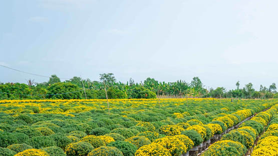 Nông nghiệp cần chuyển đổi, cơ cấu lại theo hướng nâng cao khả năng thích ứng thiên tai