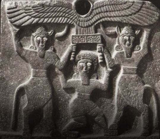  Thuốc Trường sinh