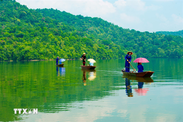 Bảo vệ lá phổi tự nhiên: 25 triệu người dân Việt Nam đang hưởng lợi từ rừng