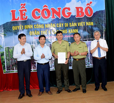 Some image of The Vietnam Heritage Tree Recognition Ceremony in Dai Bac, Hoa Binh