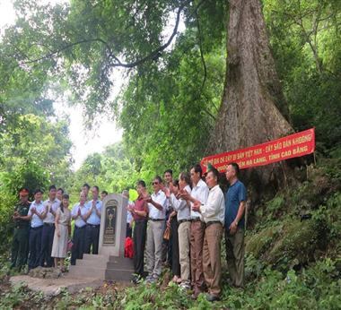 Recognition Ceremony of 700-year-old Cây Sấu  tree in Cao Bang province as a Vietnamese Heritage Tree