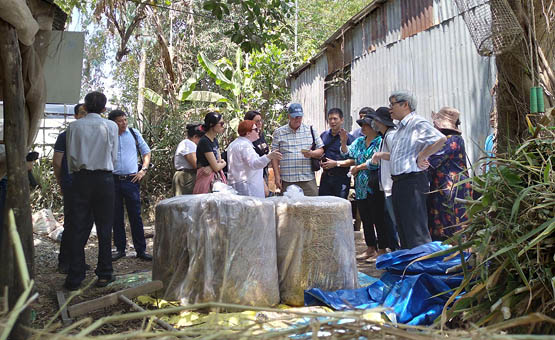 Surveying models of rice straw utilization in Chau Thanh district
