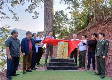 The first tree of Lai Chau province to be recognized as a Vietnamese Heritage Tree 