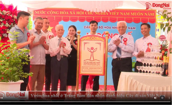 Video: Jasmine garden in Trang Bom receives the title of Vietnamese Heritage Tree 
