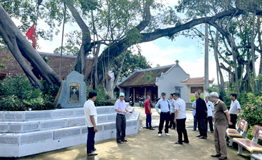 Experts from the Vietnam Association for the Conservation of Nature and Environment on surveying and consulting for the rescue of heritage trees that have fallen due to storms. ... 