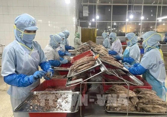 Vietnam eyes EU as key destination for agro-forestry-fishery exports