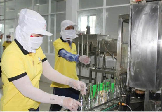 Phan Thiet fish sauce craft proposed for national heritage status