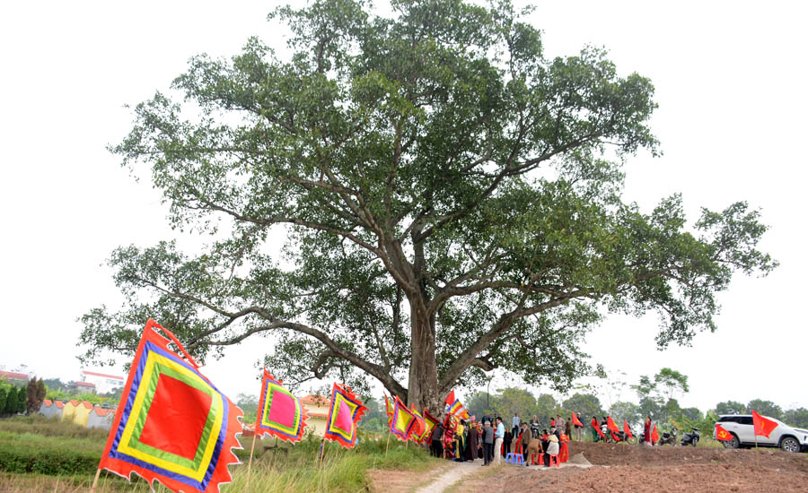 A group of people standing under a treeAI-generated content may be incorrect.