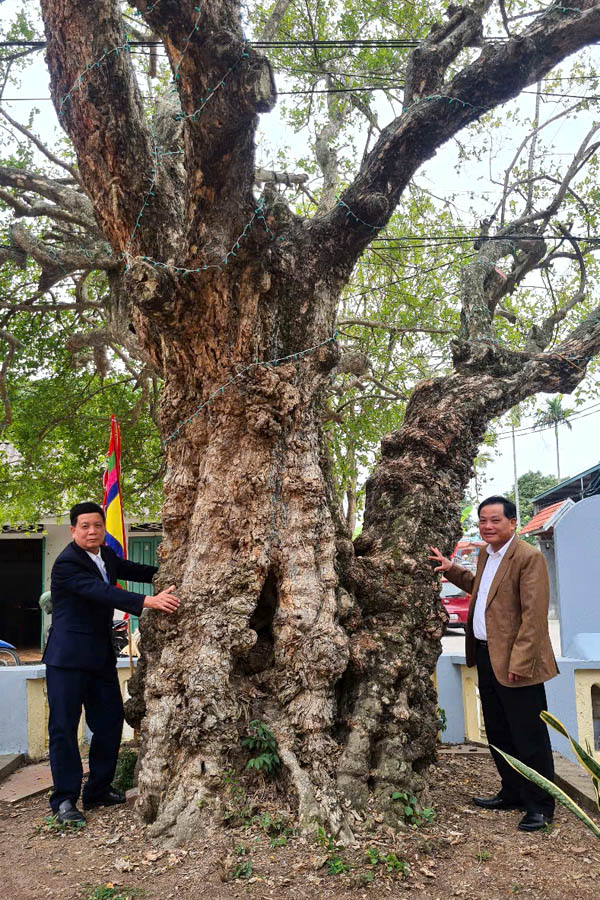 Two men standing next to a treeAI-generated content may be incorrect.