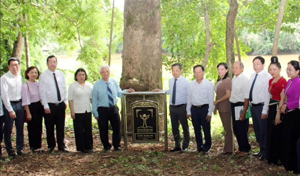 Khai mạc Ngày hội xoài Yên Châu năm 2025
