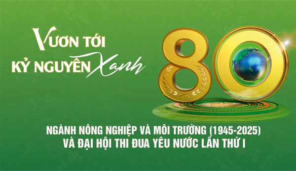 Ba đột phá chiến lược mở đường cho nền quản trị môi trường hiện đại