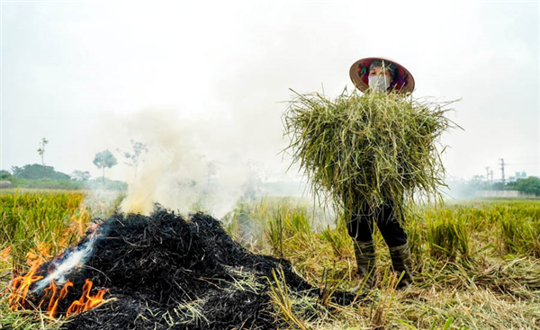 Khi mùa gặt hóa “mùa khói”: Bao giờ chấm dứt tập quán đốt rơm rạ?