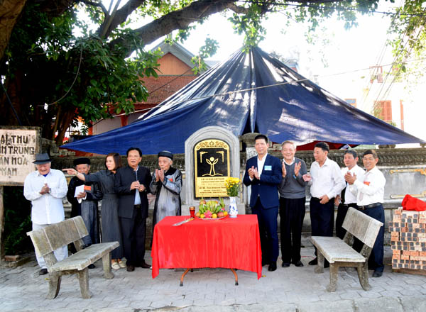 Mộc thụ bên ngôi miếu cổ ở Hải Dương được vinh danh Cây Di sản Việt Nam