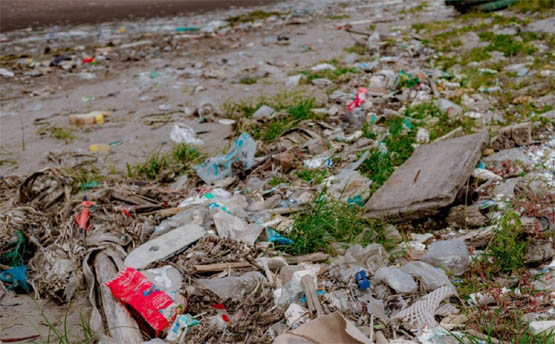 Tích hợp công nghệ quản lý rác nhựa ven biển